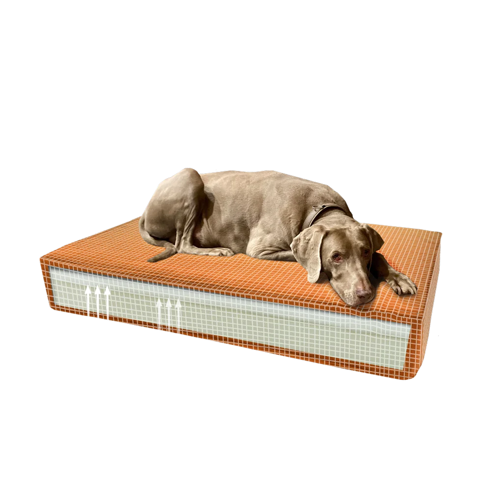 Coussin orthopédique pour chien avec mousse à mémoire de forme orange S, 45 x 55 x 12 cm – Coussin orthopédique Velvet Madison – Image 1
