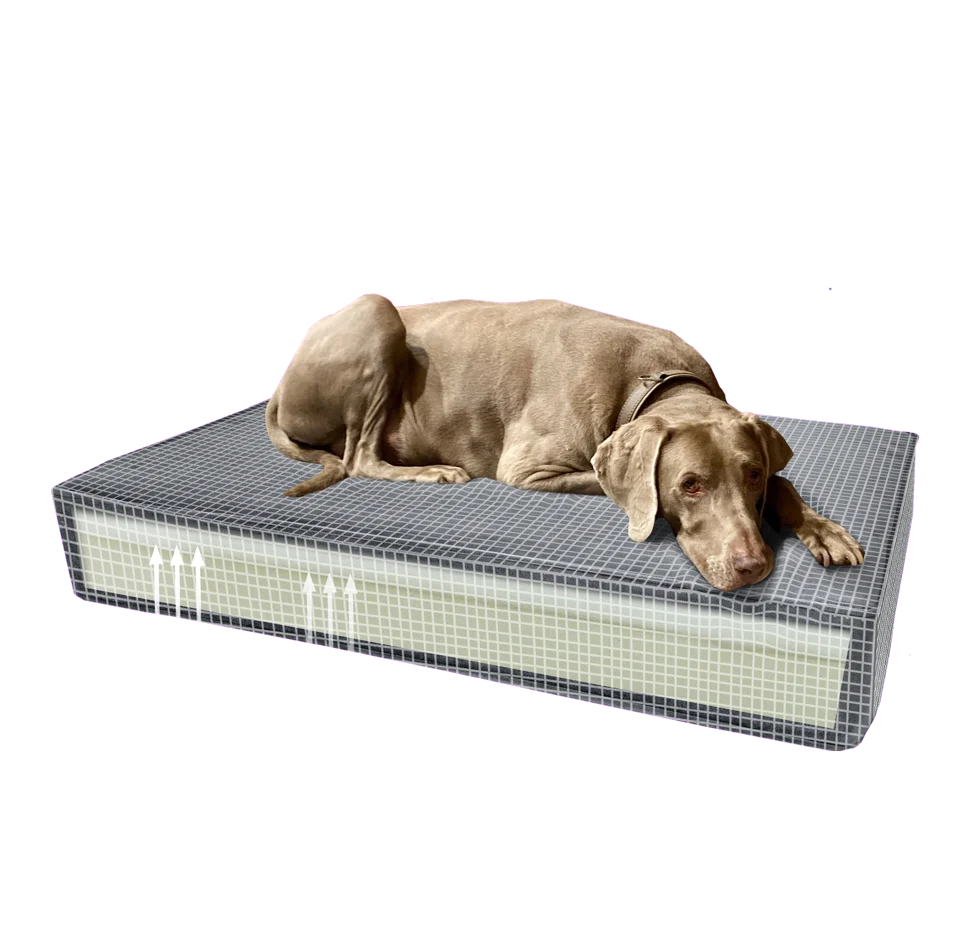 Coussin orthopédique pour chien avec mousse à mémoire de forme orange S, 45 x 55 x 12 cm – Coussin orthopédique Velvet Madison – Image 4
