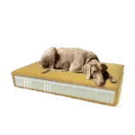 Coussin orthopédique pour chien avec mousse à mémoire de forme jaune S, 45 x 55 x 12 cm – Coussin orthopédique Velvet Madison – Image 2