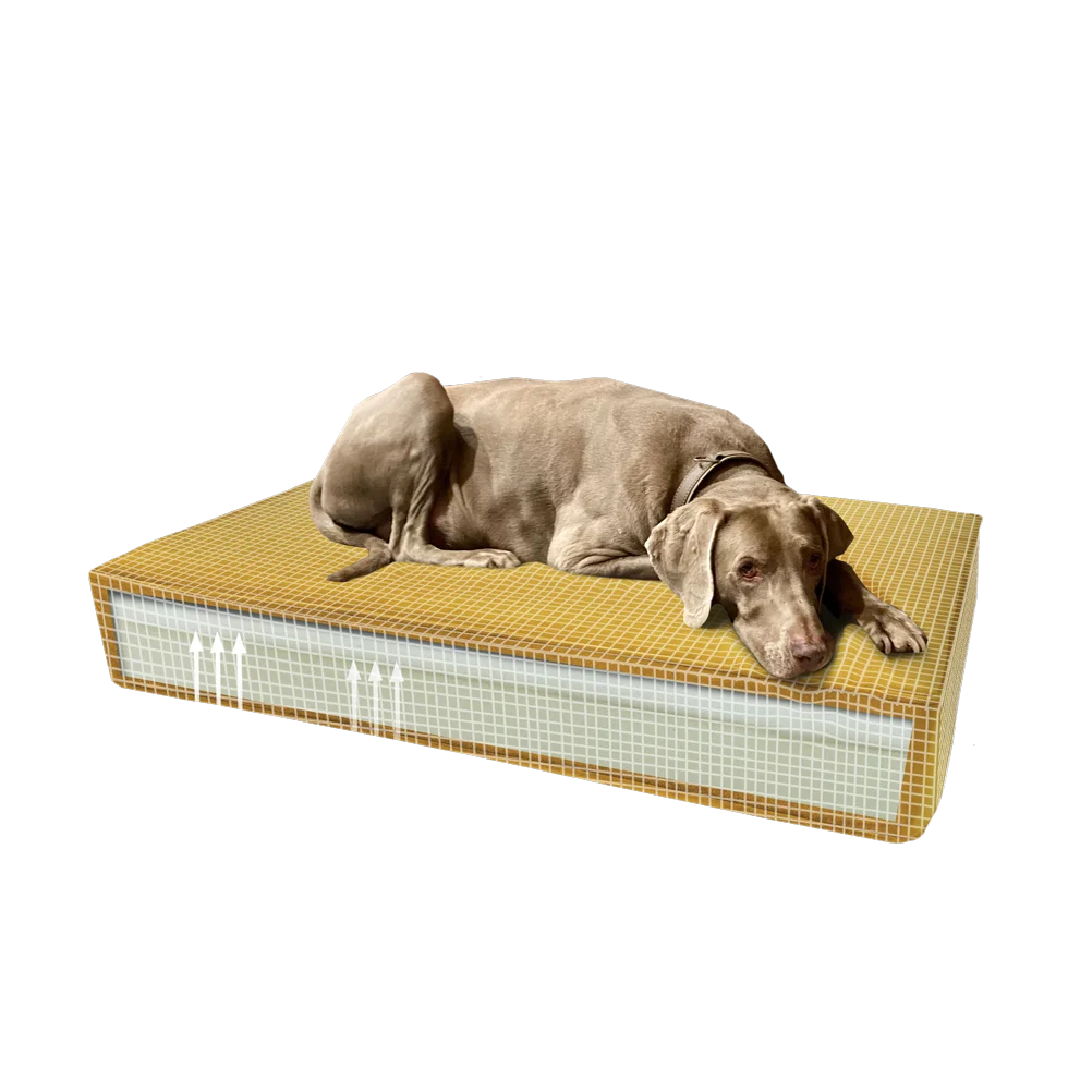 Coussin orthopédique pour chien avec mousse à mémoire de forme jaune S, 45 x 55 x 12 cm – Coussin orthopédique Velvet Madison – Image 2