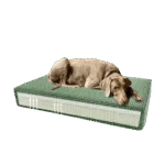 Coussin orthopédique pour chien avec mousse à mémoire de forme, vert, S, 45 x 55 x 12 cm – Coussin orthopédique Madison Velvet – Image 4