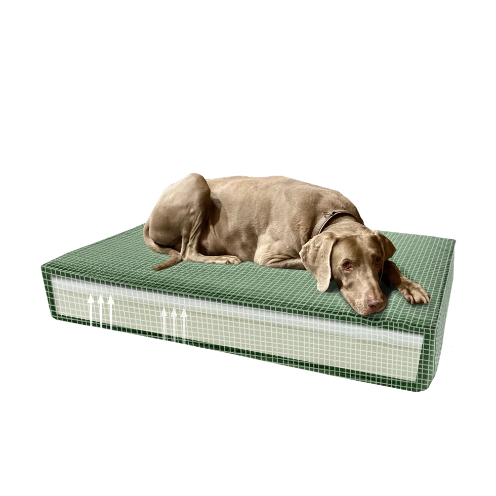 Coussin orthopédique pour chien avec mousse à mémoire de forme, vert, S, 45 x 55 x 12 cm – Coussin orthopédique Madison Velvet – Image 4