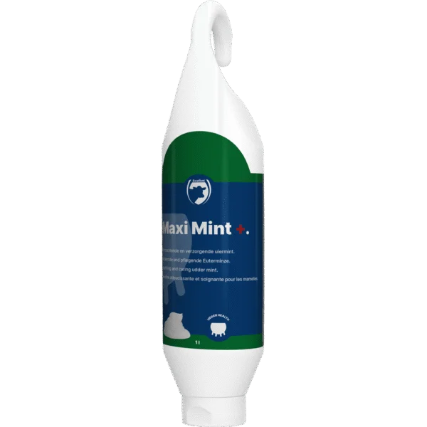 Gel pour mamelle à l’huile de menthe poivrée, tube à poser et à suspendre 1 l – Excellent Maxi Mint+