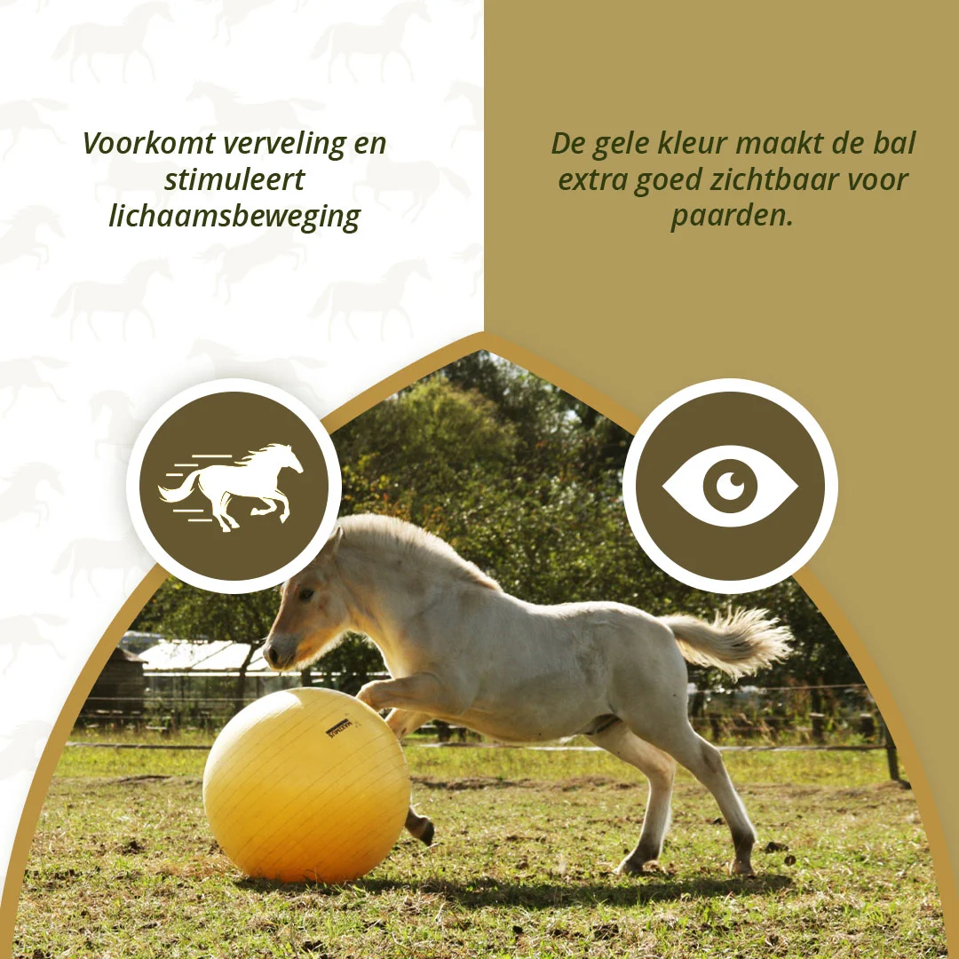Ballon de jeu pour chevaux jaune, 75 cm – Maximus Power Play Ball – Image 5