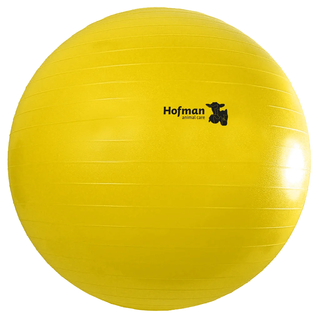 Ballon de jeu pour chevaux jaune, 75 cm – Maximus Power Play Ball – Image 2