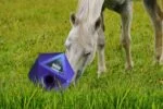 Cube ludique pour chevaux avec ouverture de 37 mm pour les friandises, bleu – Maximus Feed & Play Cube – Image 3