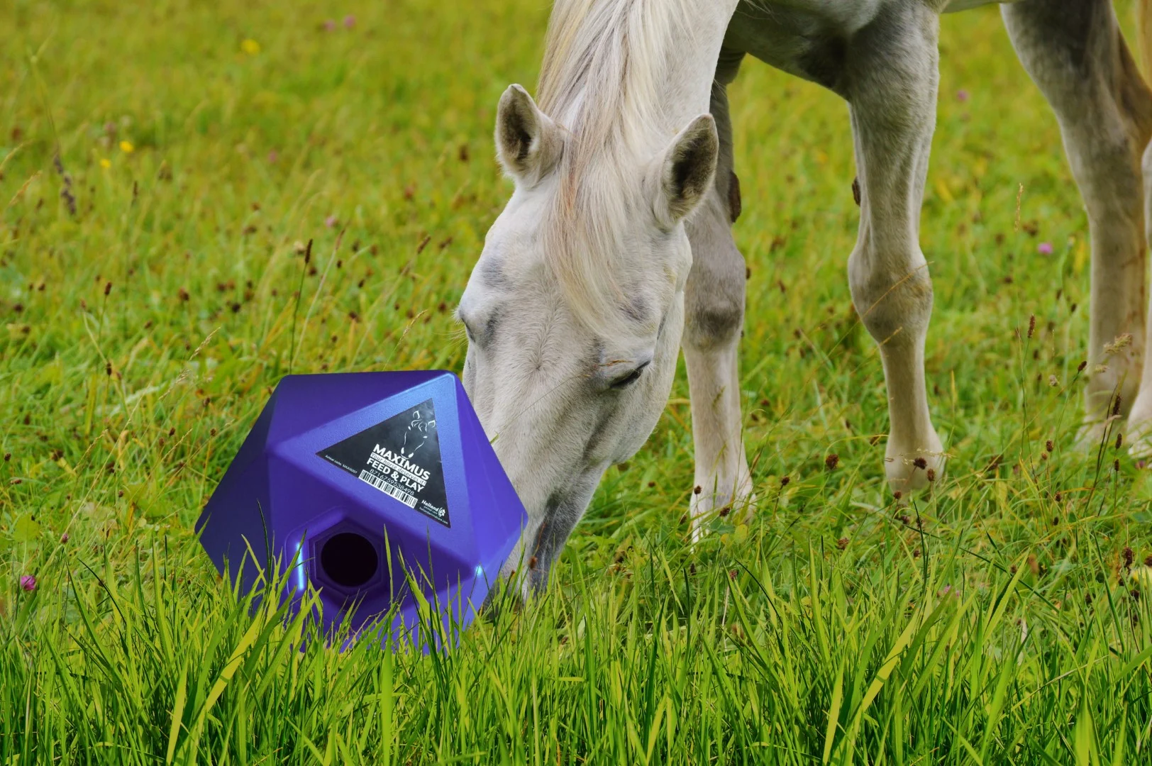 Cube ludique pour chevaux avec ouverture de 37 mm pour les friandises, bleu – Maximus Feed & Play Cube – Image 3