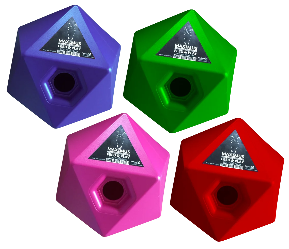 Cube ludique pour chevaux avec ouverture de 37 mm pour les friandises, vert – Maximus Feed & Play Cube – Image 2