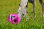 Cube distributeur de friandises pour chevaux rose, ouverture de 37 mm – Maximus Feed & Play Cube – Image 3
