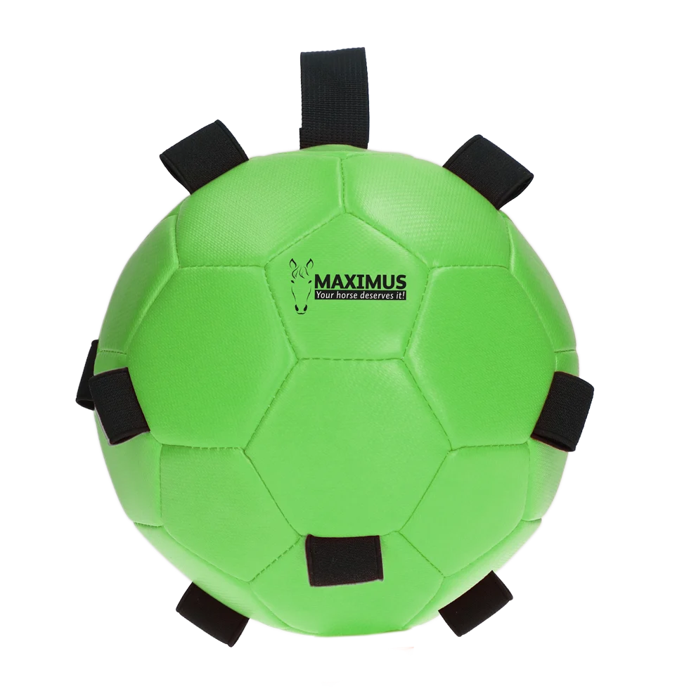 Ballon de jeu pour cheval avec élastiques, 19 cm, vert – Excellent Horse Fun Play Ball – Image 2