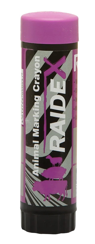 Marqueur violet à mécanisme rotatif – Raidex – Image 1
