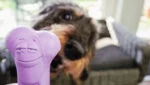 Os à mâcher en caoutchouc parfumé à la lavande – Moodies El Tranquilo – Image 4
