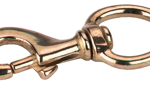 Mousqueton doré, 9 x 4 cm