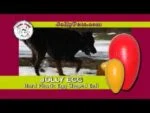 Œuf jouet pour chien en plastique, violet, 20 cm – Jolly Pets Egg – Image 6