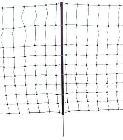 Filet pour lapins à pointe simple, hauteur 65 cm, 12 m