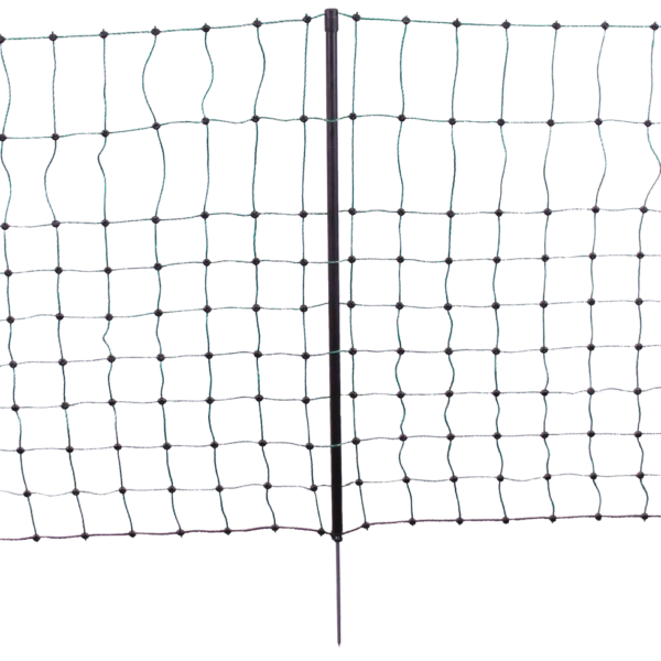 Filet pour lapins à pointe simple, hauteur 65 cm, 12 m