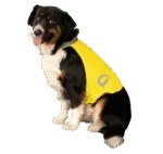 Gilet de sécurité pour chien avec éléments réfléchissants et fermeture velcro jaune M – Nightwalk Safety Vest – Image 3