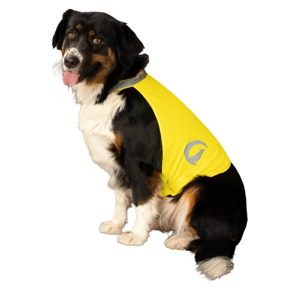 Gilet de sécurité pour chien avec éléments réfléchissants et fermeture autoagrippante jaune S – Nightwalk Safety Vest – Image 3