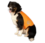 Gilet de sécurité pour chien avec éléments réfléchissants et fermeture autoagrippante, orange, S – Nightwalk Safety Vest – Image 3
