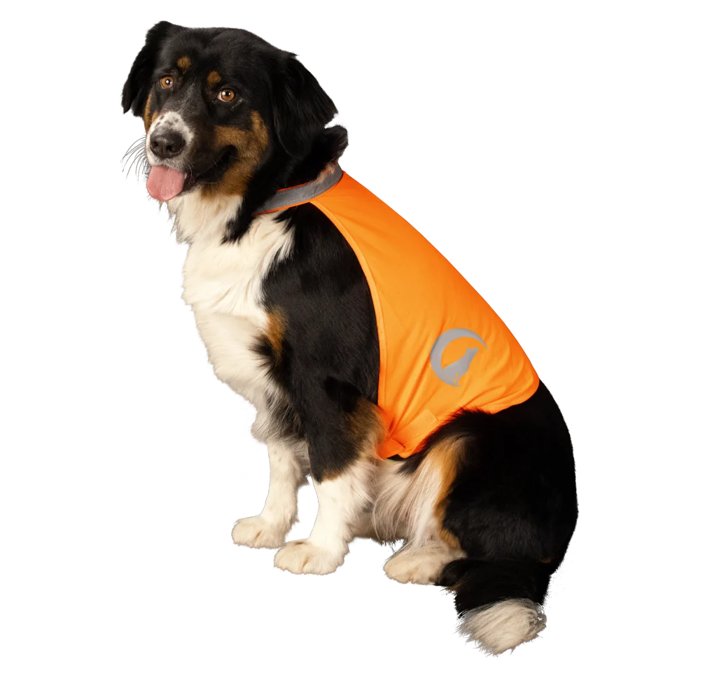 Gilet de sécurité pour chien avec éléments réfléchissants et fermeture autoagrippante, orange, S – Nightwalk Safety Vest – Image 3