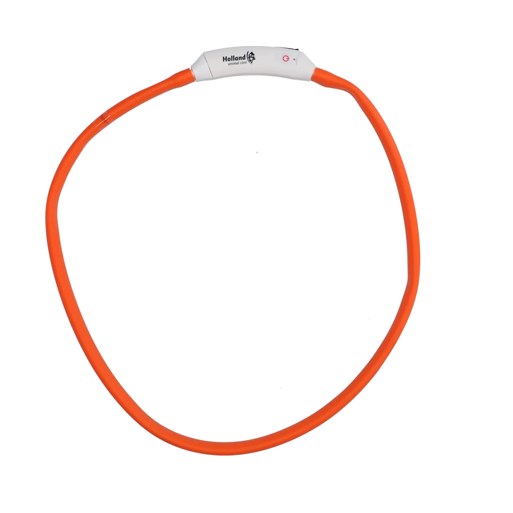 Collier lumineux rechargeable pour chien, orange – Nightwalk Safety Collar – Image 4
