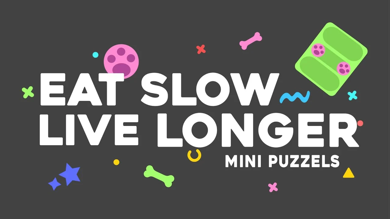 Puzzle pour chien pour croquettes et friandises, 13 x 19 cm – Eat Slow Live Longer Mini Puzzle Crazy River – Image 4