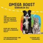 Huile oméga pour chiens aux huiles végétales, 250 ml – Excellent Pets Omega Boost – Image 6