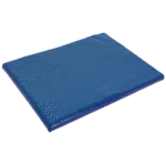 Tapis désinfectant avec surface supérieure absorbante 55 x 45 x 3 cm – Excellent