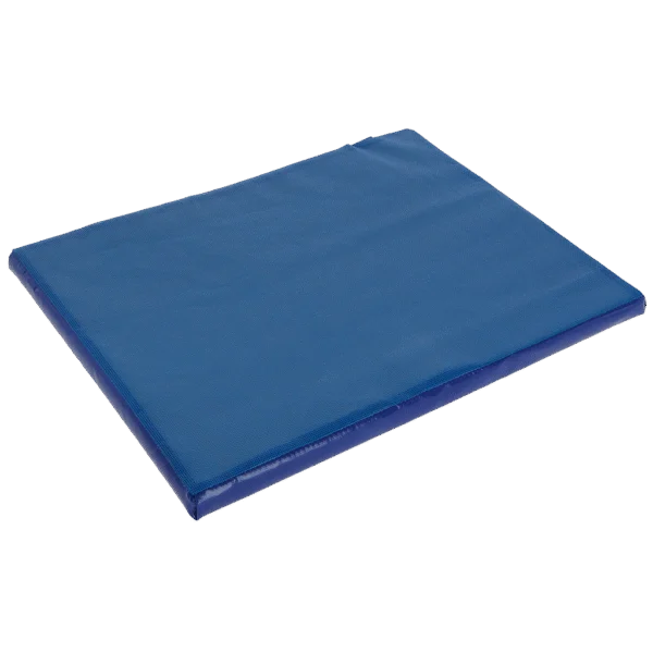 Tapis désinfectant avec surface supérieure absorbante 55 x 45 x 3 cm – Excellent