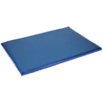 Tapis désinfectant pour chaussures 85 x 60 x 3,5 cm