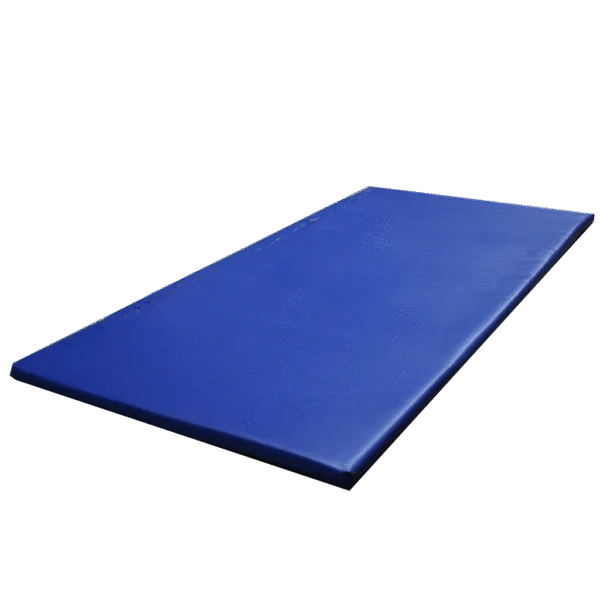 Tapis désinfectant pour chaussures 180 x 90 x 4 cm – Gobel