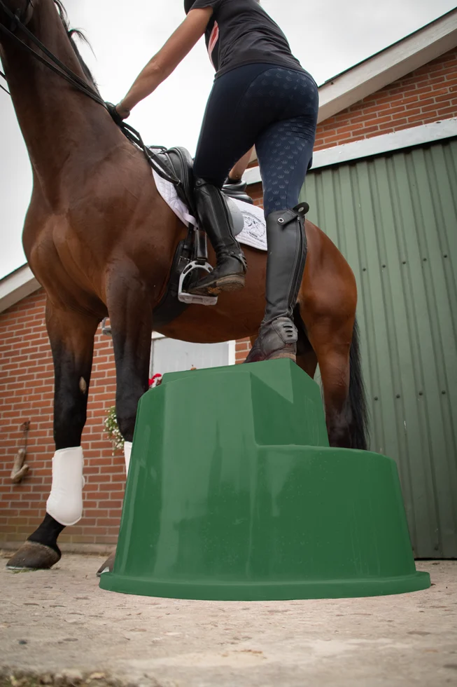 Marchepied avec 3 marches antidérapantes, vert, 53 cm – Excellent Horse – Image 5