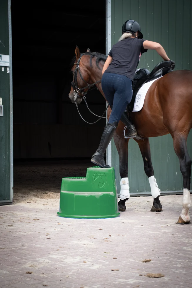 Marchepied avec 3 marches antidérapantes, vert, 53 cm – Excellent Horse – Image 3