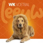 Crinière de lion orange pour chien L – Parure à crinière orange Holland – Image 2