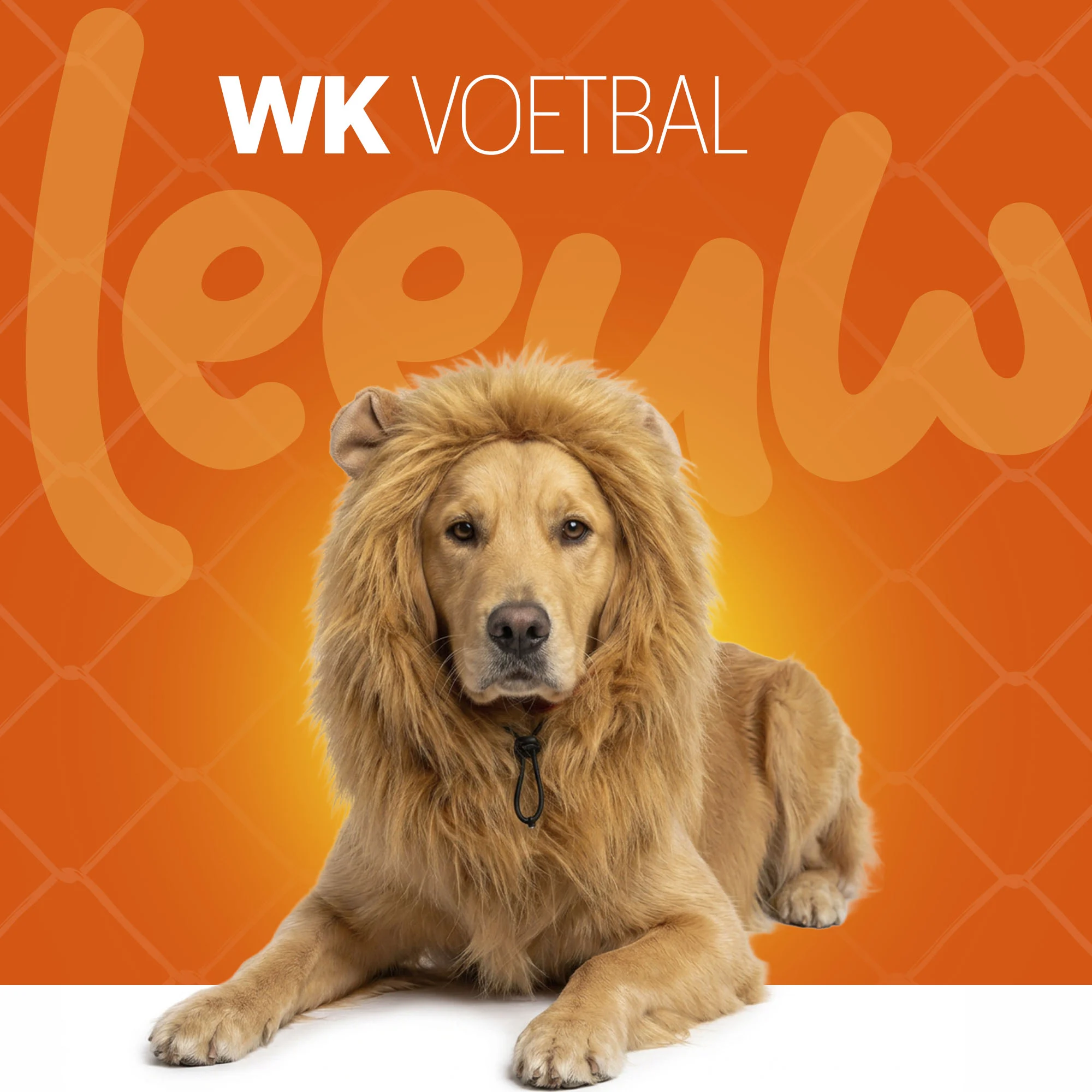 Crinière de lion orange pour chien L – Parure à crinière orange Holland – Image 2