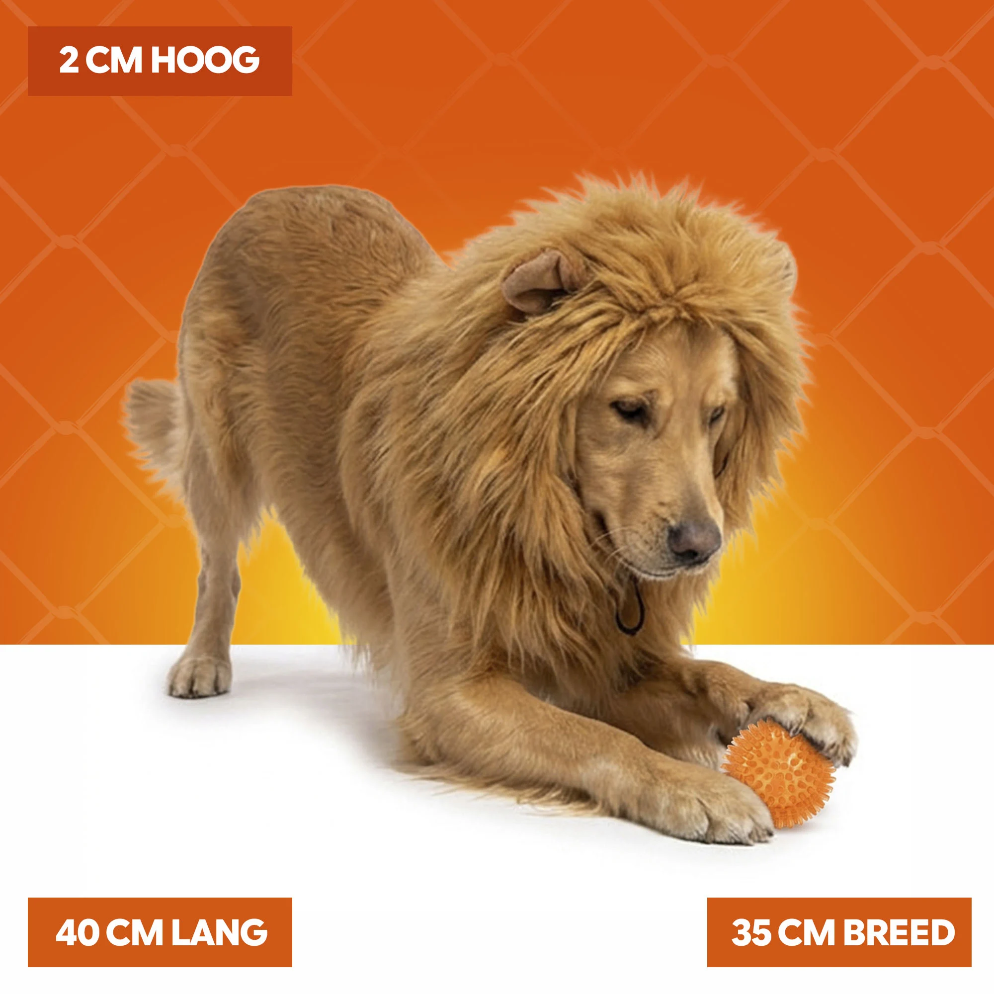 Crinière de lion orange pour chien L – Parure à crinière orange Holland – Image 5