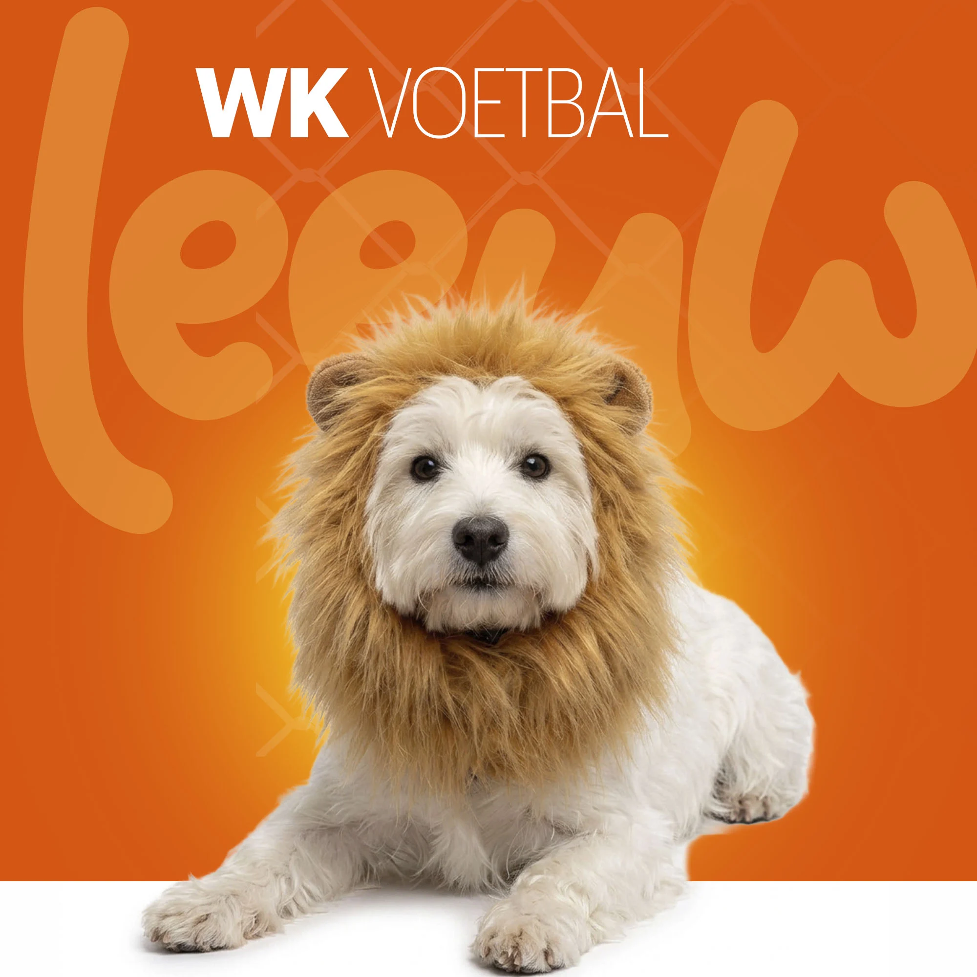 Crinière de lion orange pour chien M – Crinière de lion orange Holland – Image 2