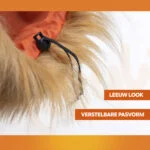 Crinière de lion orange pour chien M – Crinière de lion orange Holland – Image 4