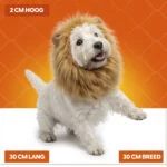 Crinière de lion orange pour chien M – Crinière de lion orange Holland – Image 5