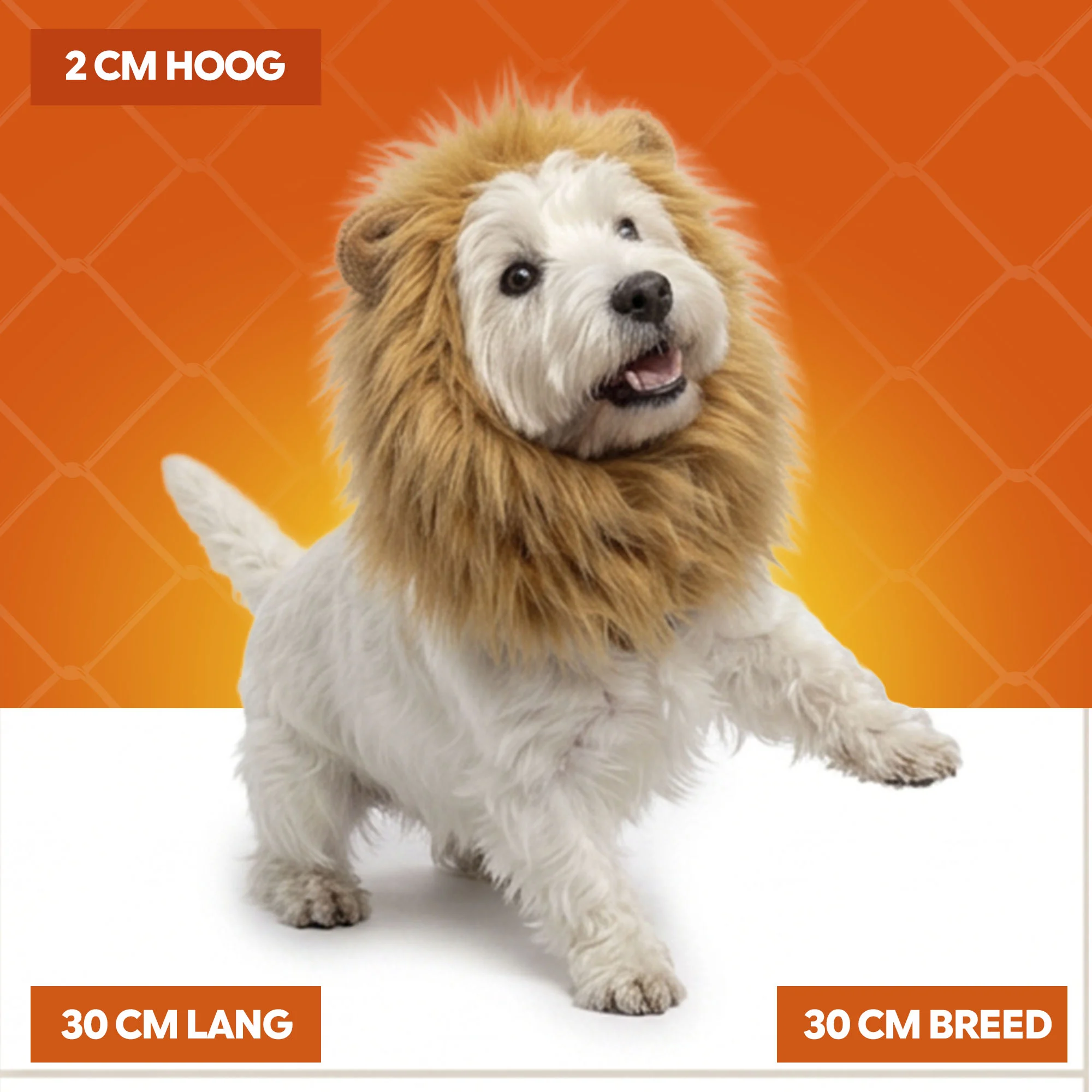 Crinière de lion orange pour chien M – Crinière de lion orange Holland – Image 5