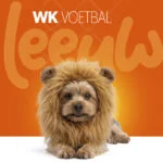 Coiffe de lion orange pour chien S – Coiffe de lion orange Holland – Image 2