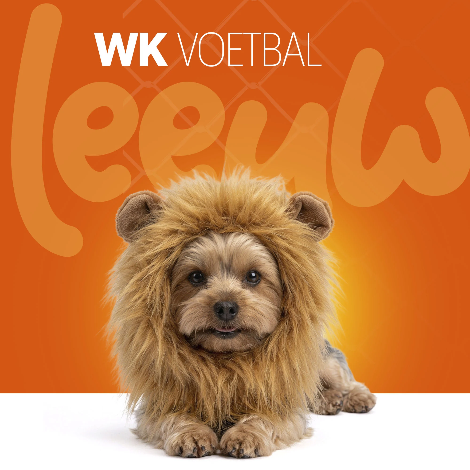Coiffe de lion orange pour chien S – Coiffe de lion orange Holland – Image 2