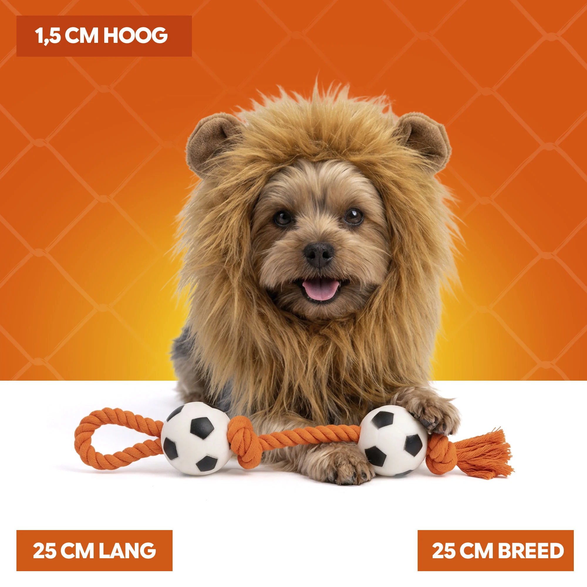 Coiffe de lion orange pour chien S – Coiffe de lion orange Holland – Image 5