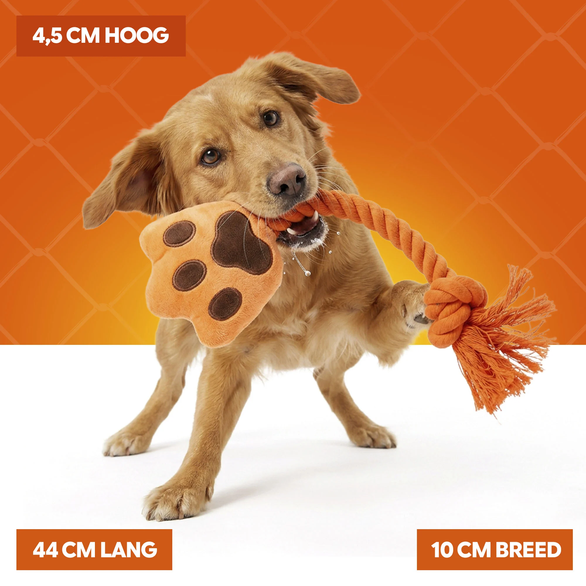 Jouet à tirer pour chien en forme de main, avec corde à tirer et couineur – Holland Oranje High Five – Image 4