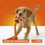 Jouet à tirer pour chien en forme de main, avec corde à tirer et couineur – Holland Oranje High Five – Image 6