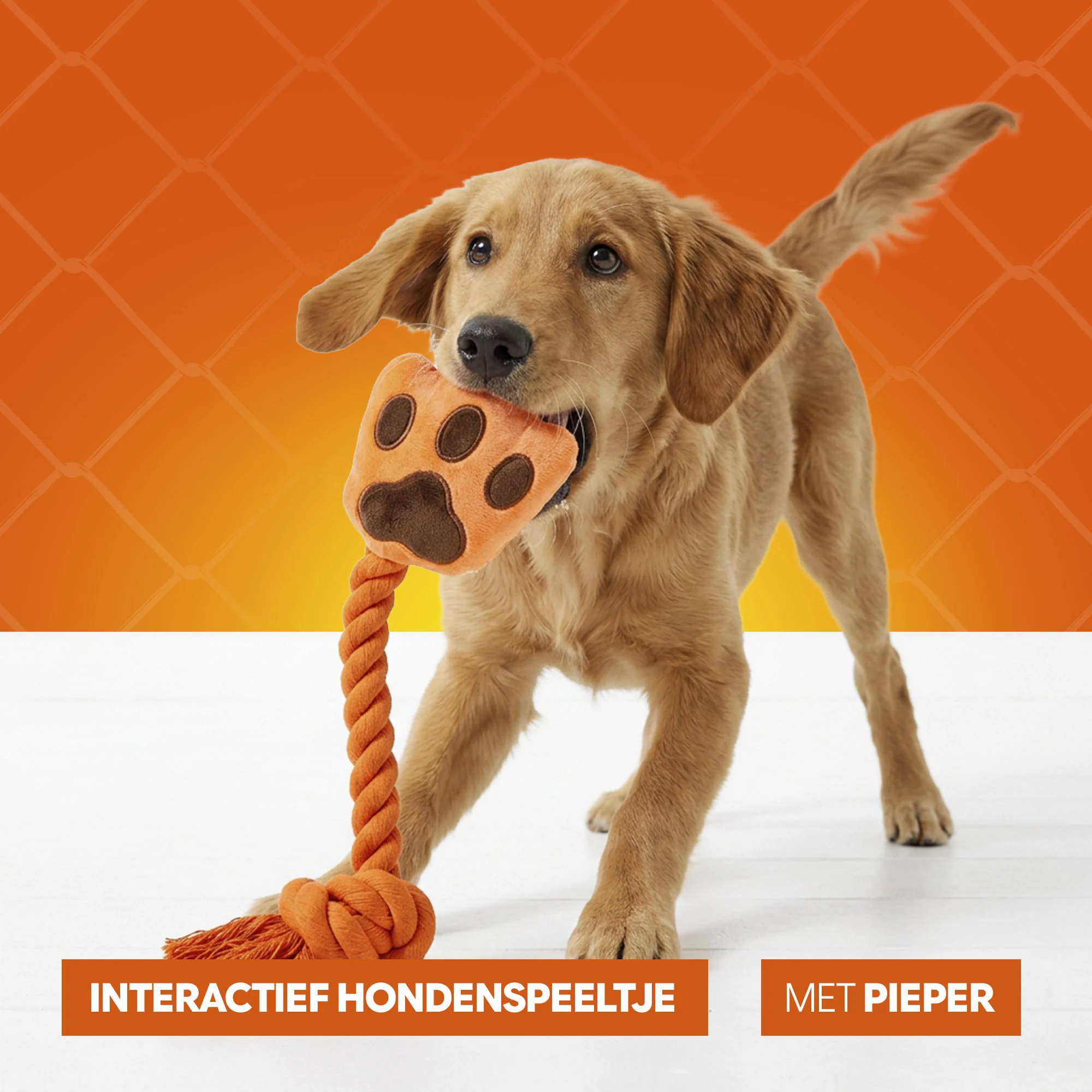 Jouet à tirer pour chien en forme de main, avec corde à tirer et couineur – Holland Oranje High Five – Image 6