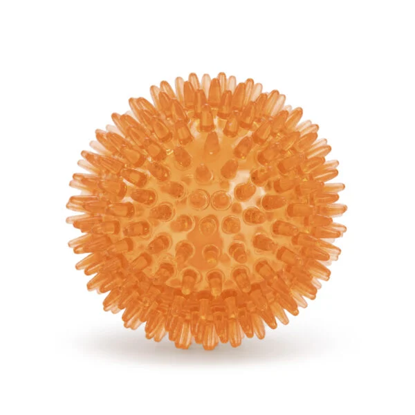 Balle pour chien à picots souples M – Holland Oranje Egelbal