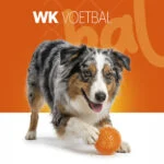 Balle pour chien à picots souples M – Holland Oranje Egelbal – Image 2