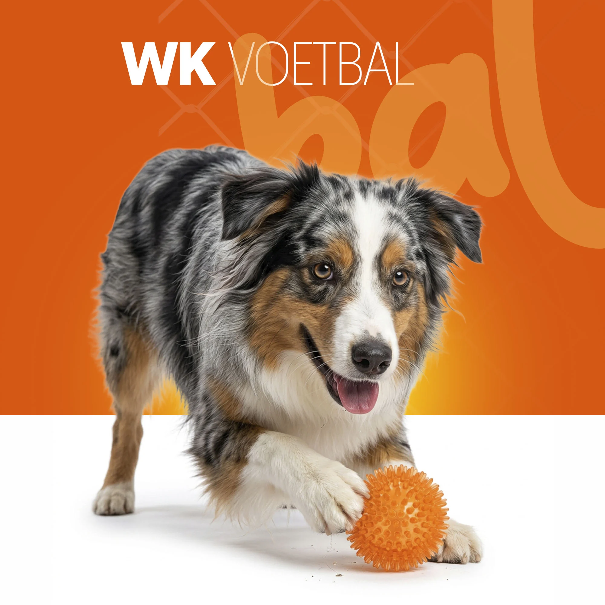 Balle pour chien à picots souples M – Holland Oranje Egelbal – Image 2