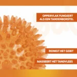 Balle pour chien à picots souples M – Holland Oranje Egelbal – Image 3